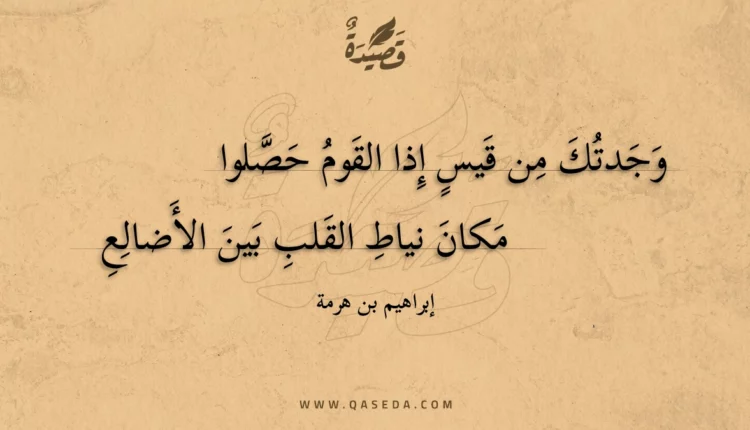 قصيدة وجدتك من قيس إذا القوم حصلوا