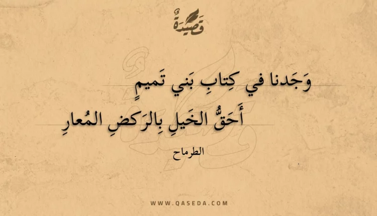 قصيدة وجدنا في كتاب بني تميم