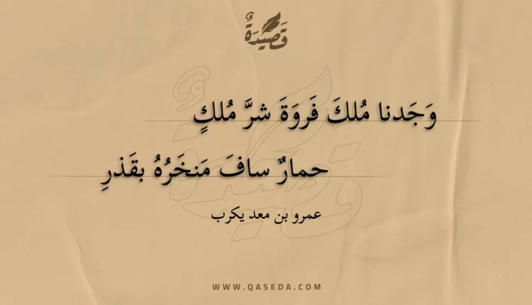 قصيدة وجدنا ملك فروة شر ملك