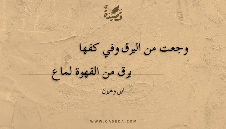 قصيدة وجعت من البرق وفي كفها