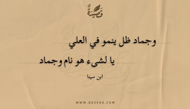 قصيدة وجماد ظل ينمو في العلي