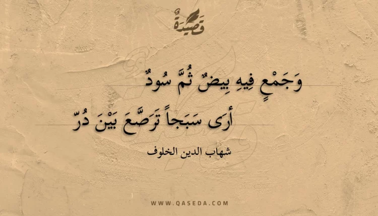 قصيدة وجمع فيه بيض ثم سود