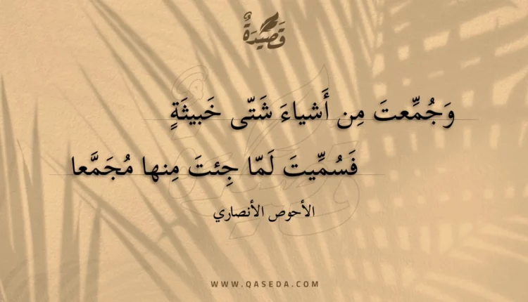 قصيدة وجمعت من أشياء شتى خبيثة