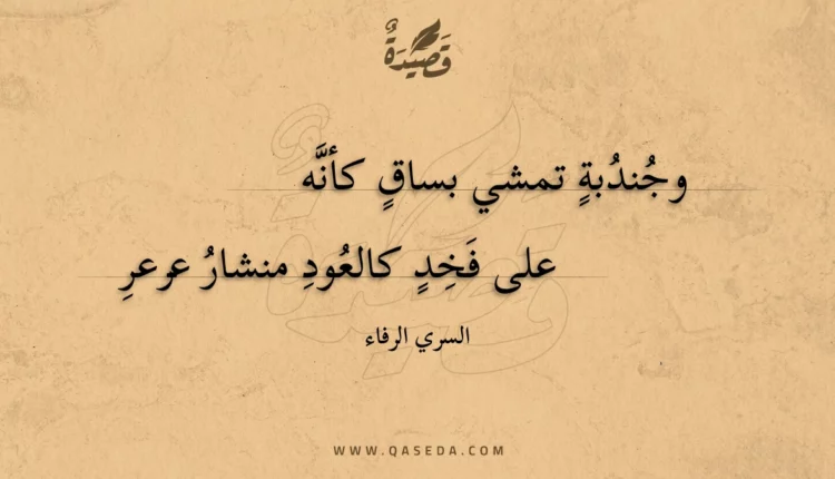 قصيدة وجندبة تمشي بساق كأنه