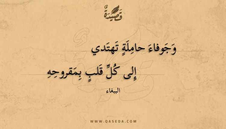 قصيدة وجوفاء حاملة تهتدي