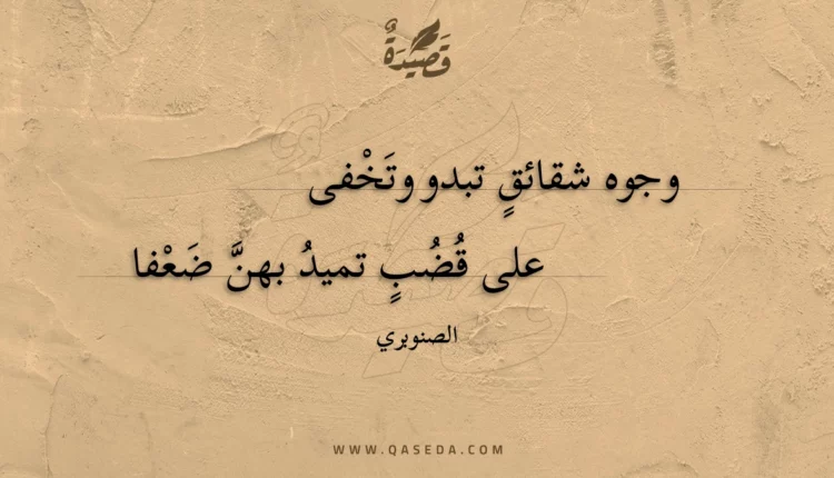 قصيدة وجوه شقائق تبدو وتخفى