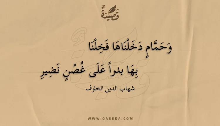 قصيدة وحمام دخلناها فخلنا