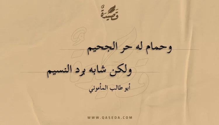 قصيدة وحمام له حر الجحيم