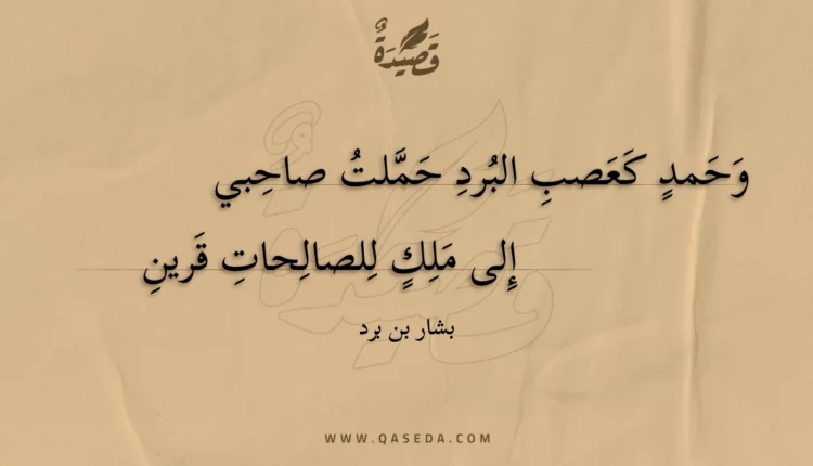 قصيدة وحمد كعصب البرد حملت صاحبي