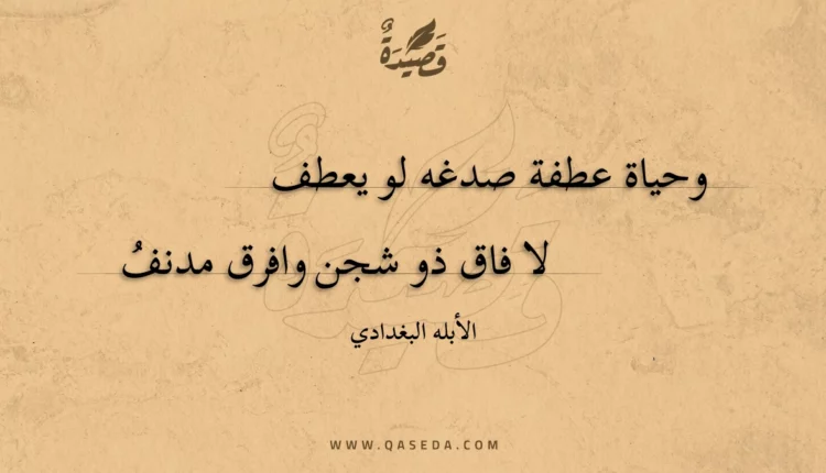 قصيدة وحياة عطفة صدغه لو يعطف