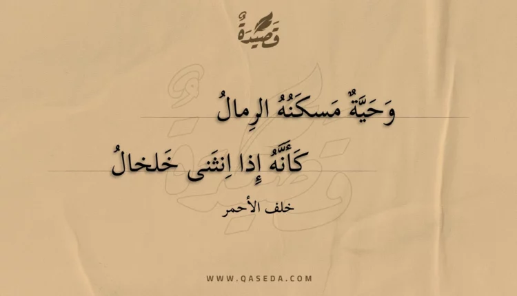 قصيدة وحية مسكنه الرمال
