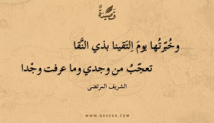 قصيدة وخبرتها يوم التقينا بذي النقا