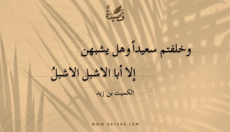 قصيدة وخلفتم سعيدا وهل يشبهن