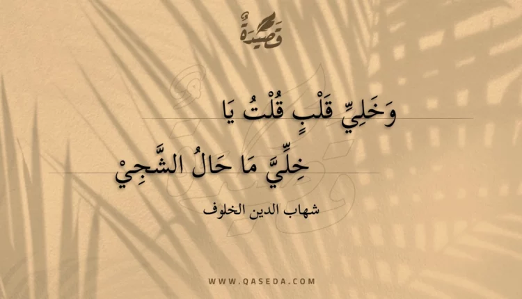 قصيدة وخلي قلب قلت يا
