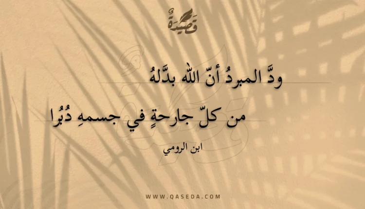قصيدة ود المبرد أن الله بدله