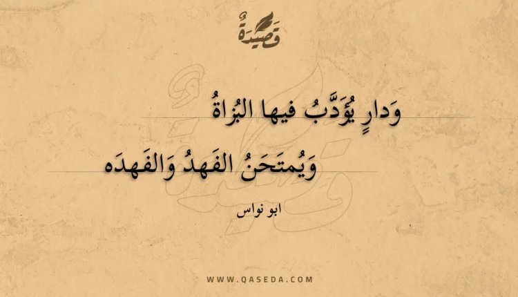 قصيدة ودار يؤدب فيها البزاة
