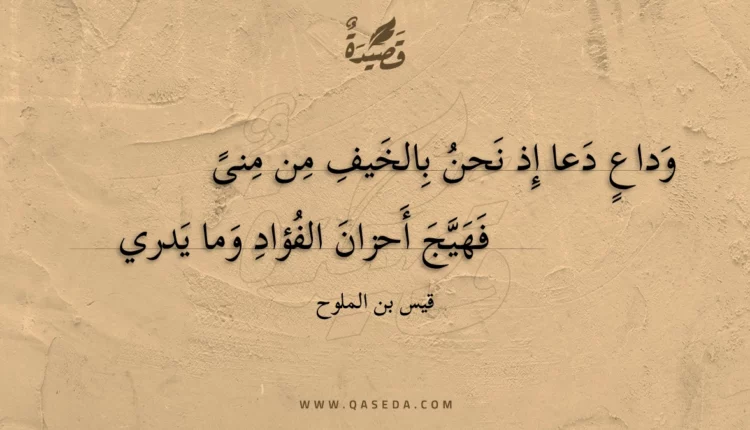قصيدة وداع دعا إذ نحن بالخيف من منى