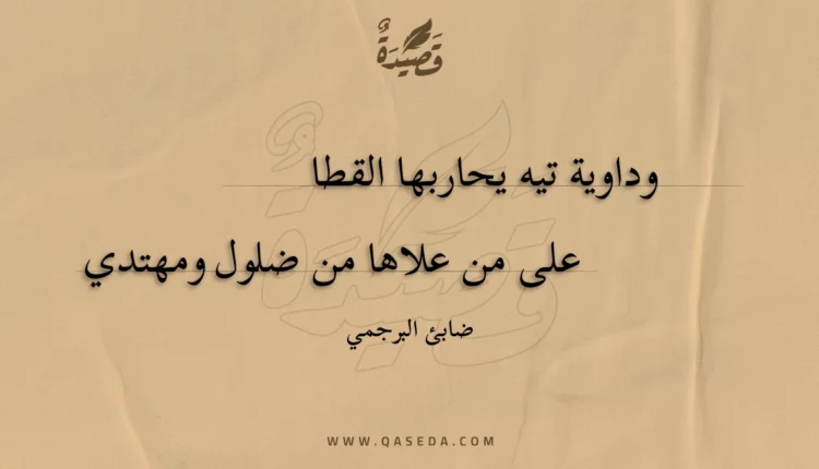 قصيدة وداوية تيه يحاربها القطا