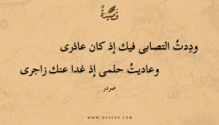 قصيدة وددت التصابى فيك إذ كان عاذرى
