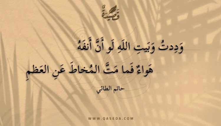 قصيدة وددت وبيت الله لو أن أنفه