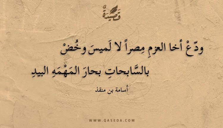 قصيدة ودع أخا العزم مصرا لا لميس وخض