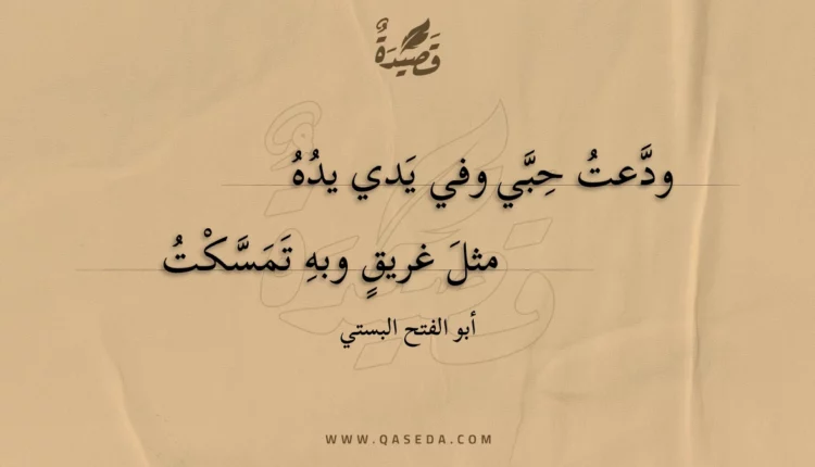 قصيدة ودعت حبي وفي يدي يده