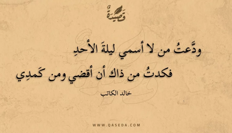 قصيدة ودعت من لا أسمي ليلة الأحد