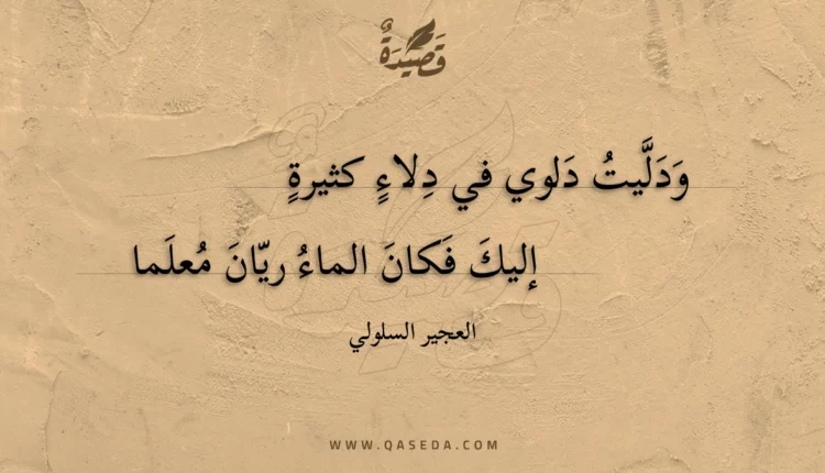 قصيدة ودليت دلوي في دلاء كثيرة