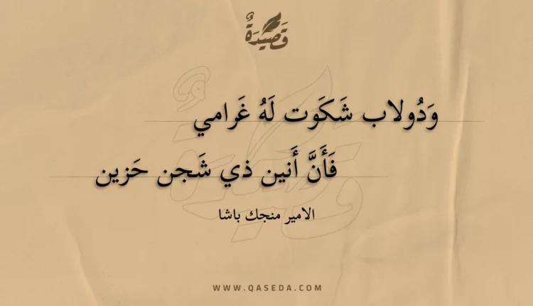 قصيدة ودولاب شكوت له غرامي