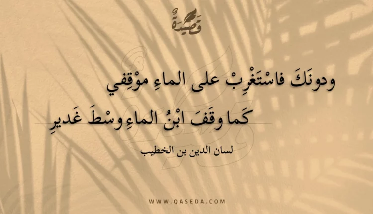 قصيدة ودونك فاستغرب على الماء موقفي
