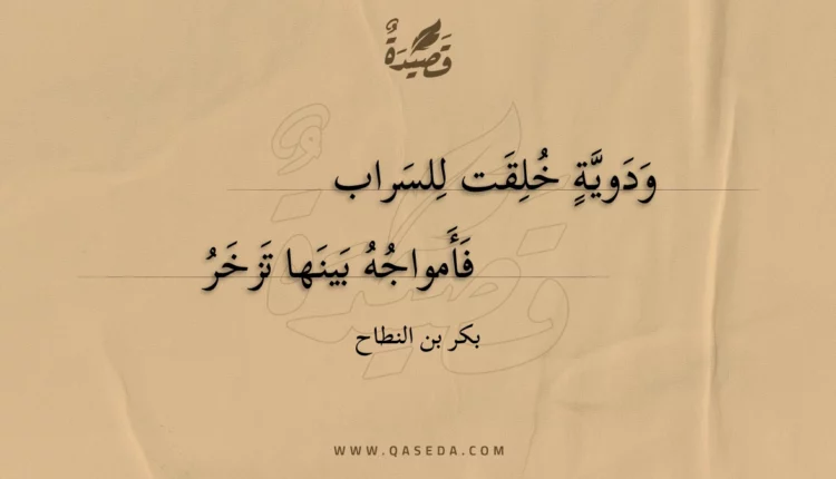 قصيدة ودوية خلقت للسراب