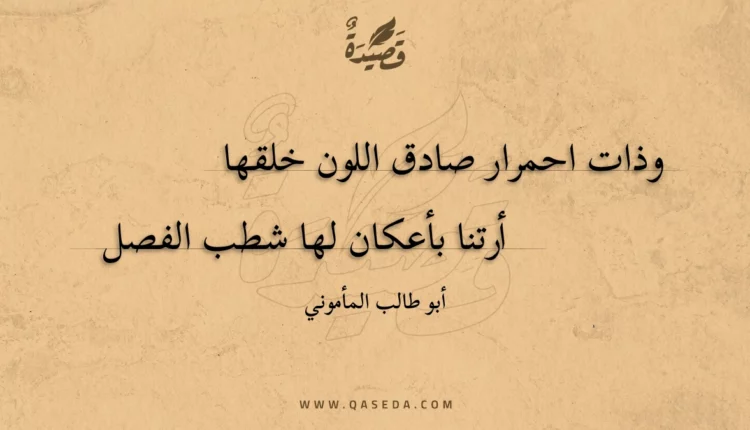 قصيدة وذات احمرار صادق اللون خلقها
