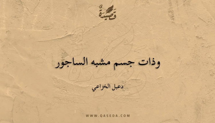 قصيدة وذات جسم مشبه الساجور