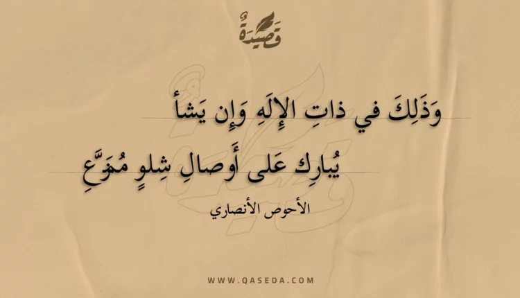 قصيدة وذلك في ذات الإله وإن يشأ