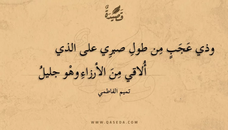 قصيدة وذي عجب من طول صبري على الذي