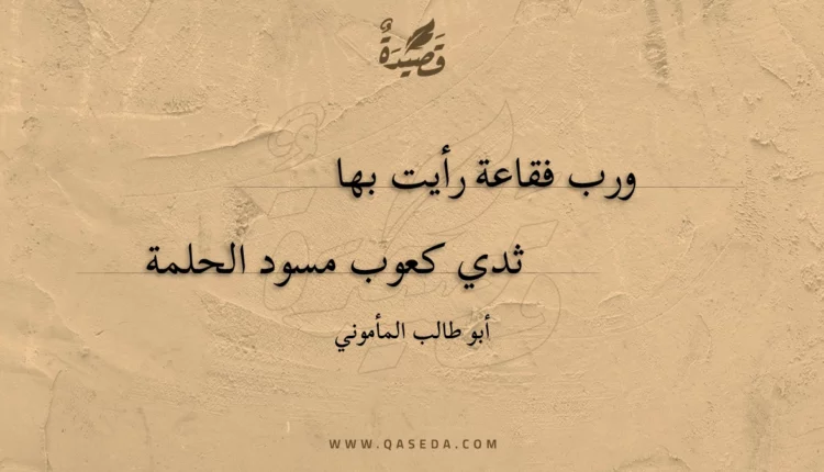 قصيدة ورب فقاعة رأيت بها