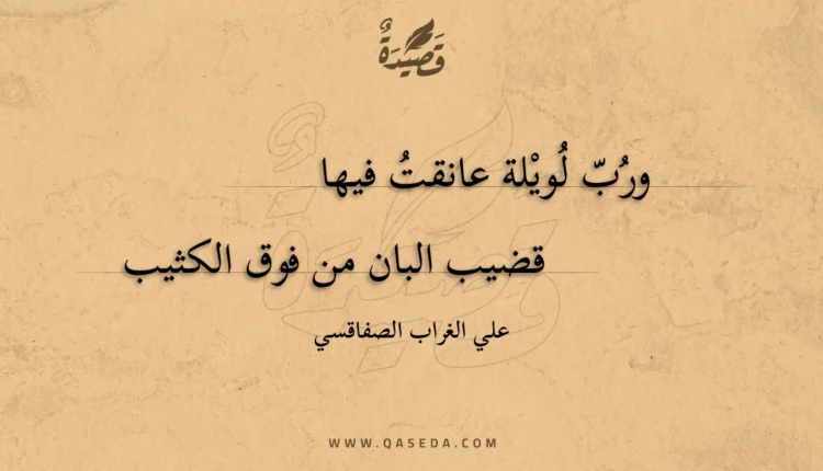 قصيدة ورب لويلة عانقت فيها
