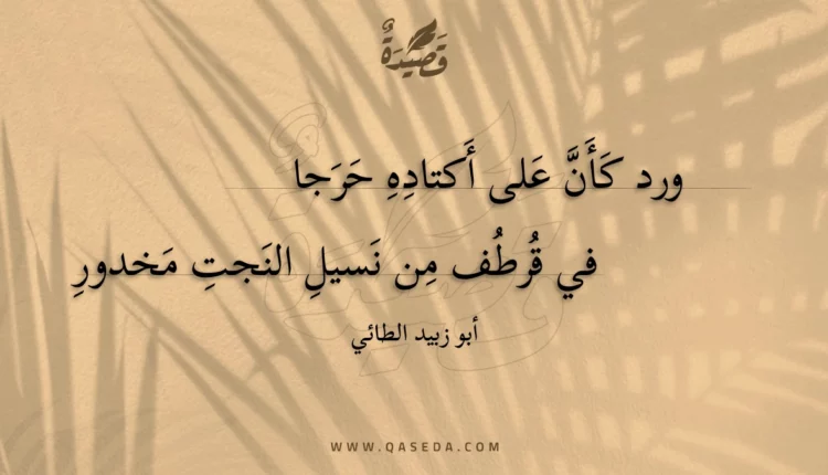 قصيدة ورد كأن على أكتاده حرجا
