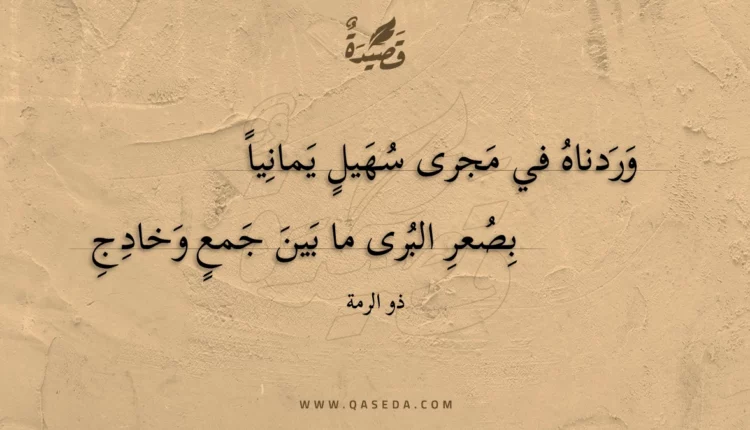 قصيدة وردناه في مجرى سهيل يمانيا
