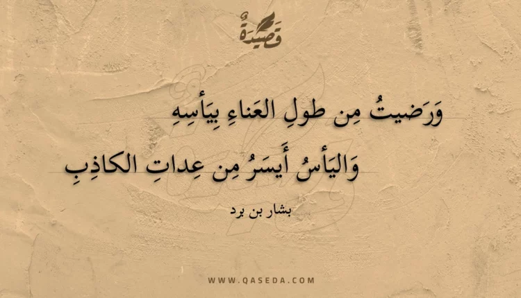 قصيدة ورضيت من طول العناء بيأسه