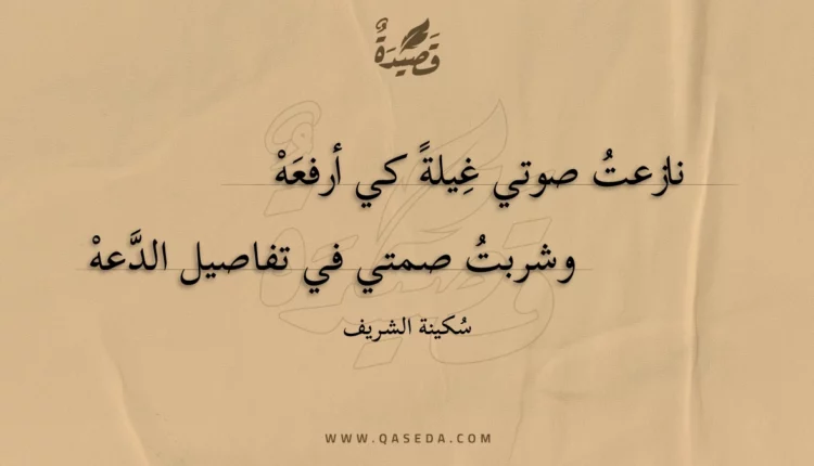 قصيدة ورع نجيب