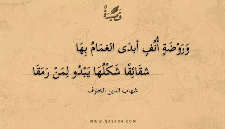 قصيدة وروضة أنف أبدى الغمام بها