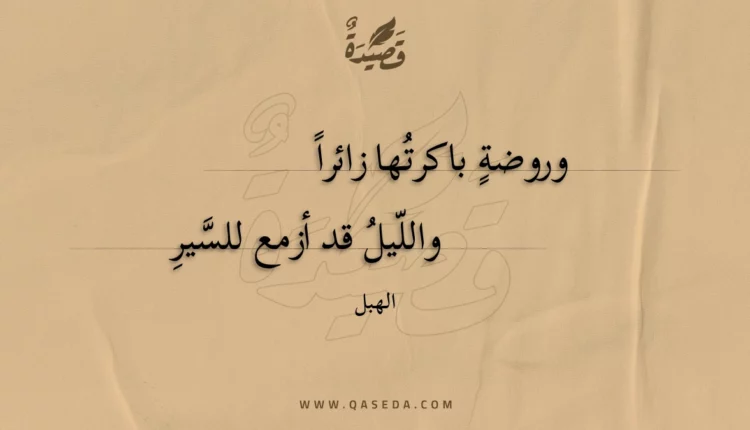 قصيدة وروضة باكرتها زائرا
