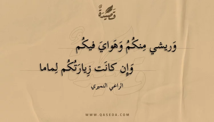 قصيدة وريشي منكم وهواي فيكم
