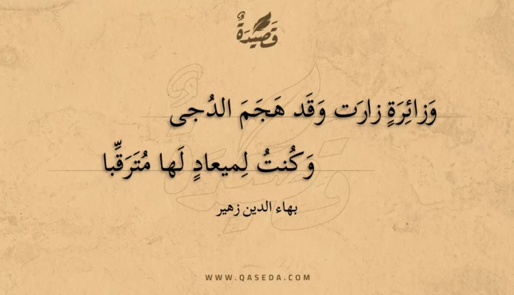 قصيدة وزائرة زارت وقد هجم الدجى