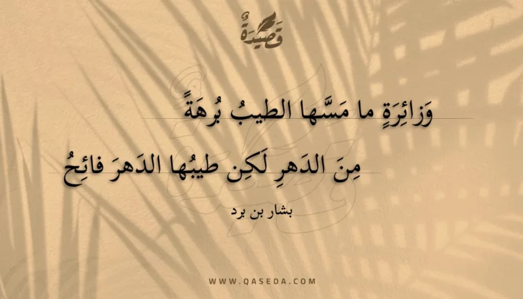 قصيدة وزائرة ما مسها الطيب برهة