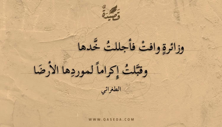 قصيدة وزائرة وافت فأجللت خدها