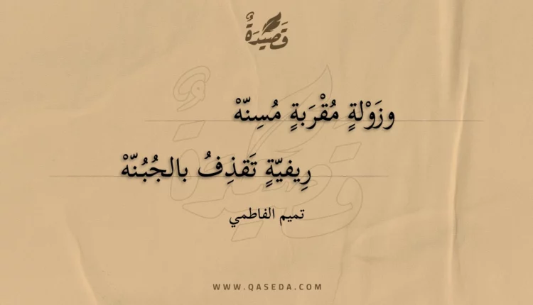 قصيدة وزولة مقربة مسنه