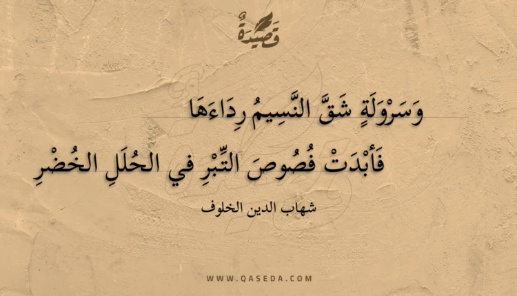قصيدة وسرولة شق النسيم رداءها