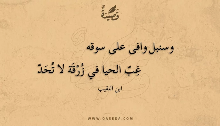 قصيدة وسنبل وافى على سوقه